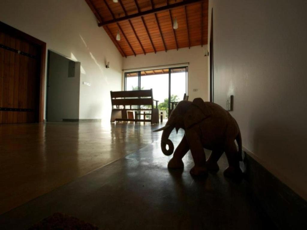 Mangrove Escapes Resort Bentota Extérieur photo