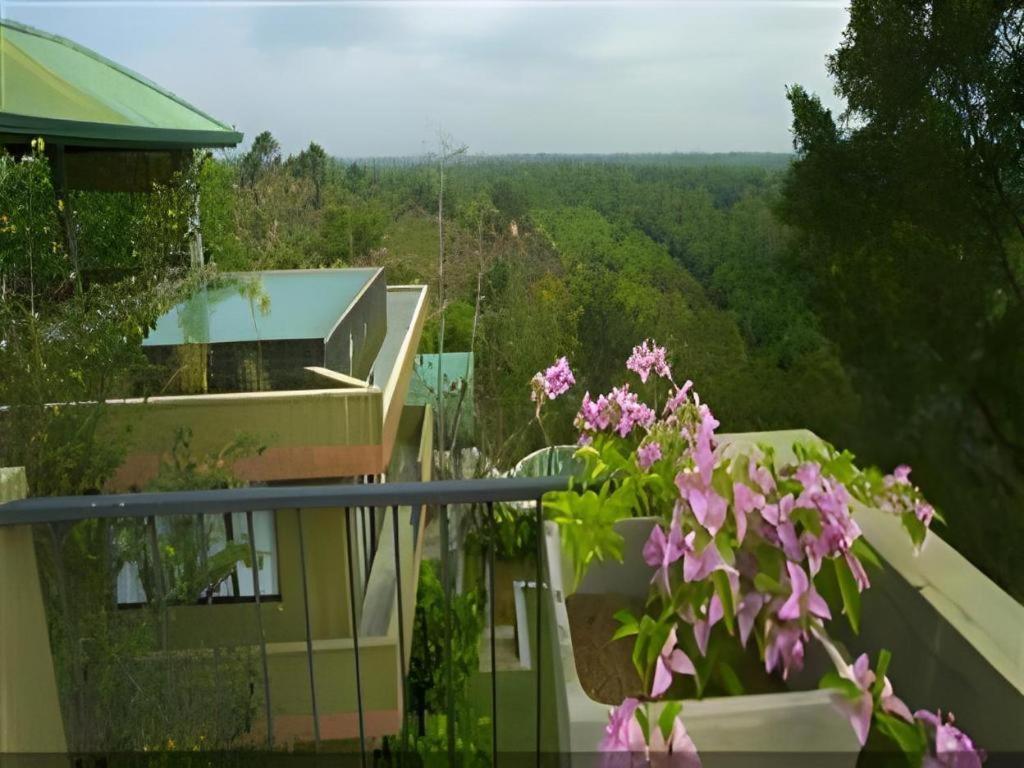Mangrove Escapes Resort Bentota Extérieur photo