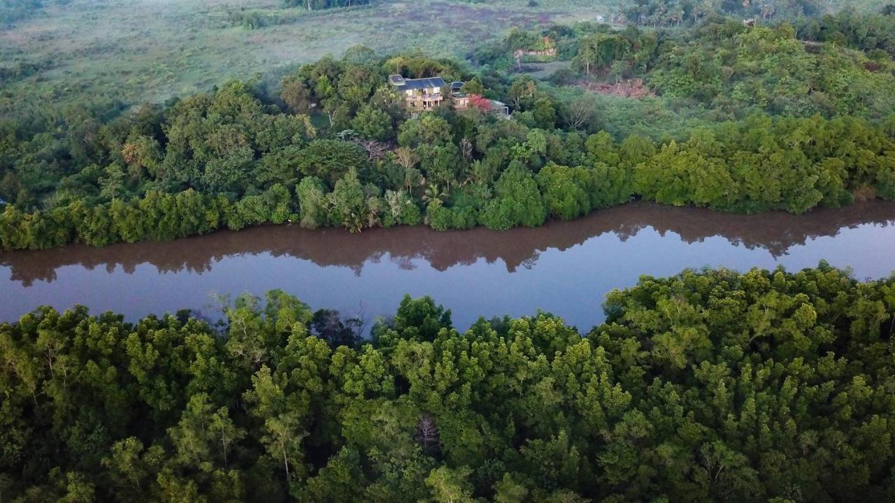 Mangrove Escapes Resort Bentota Extérieur photo