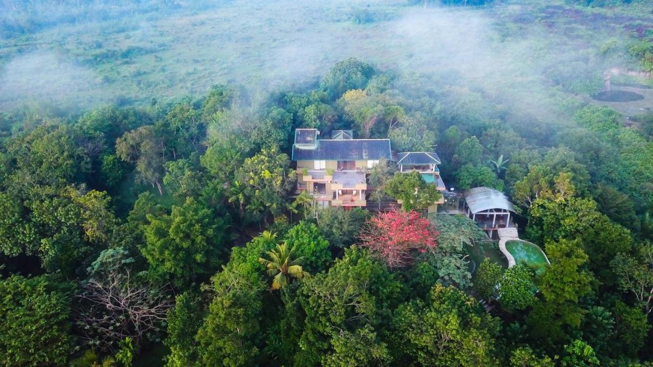Mangrove Escapes Resort Bentota Extérieur photo