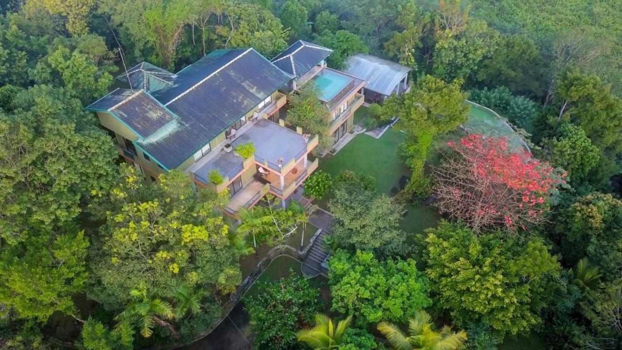 Mangrove Escapes Resort Bentota Extérieur photo