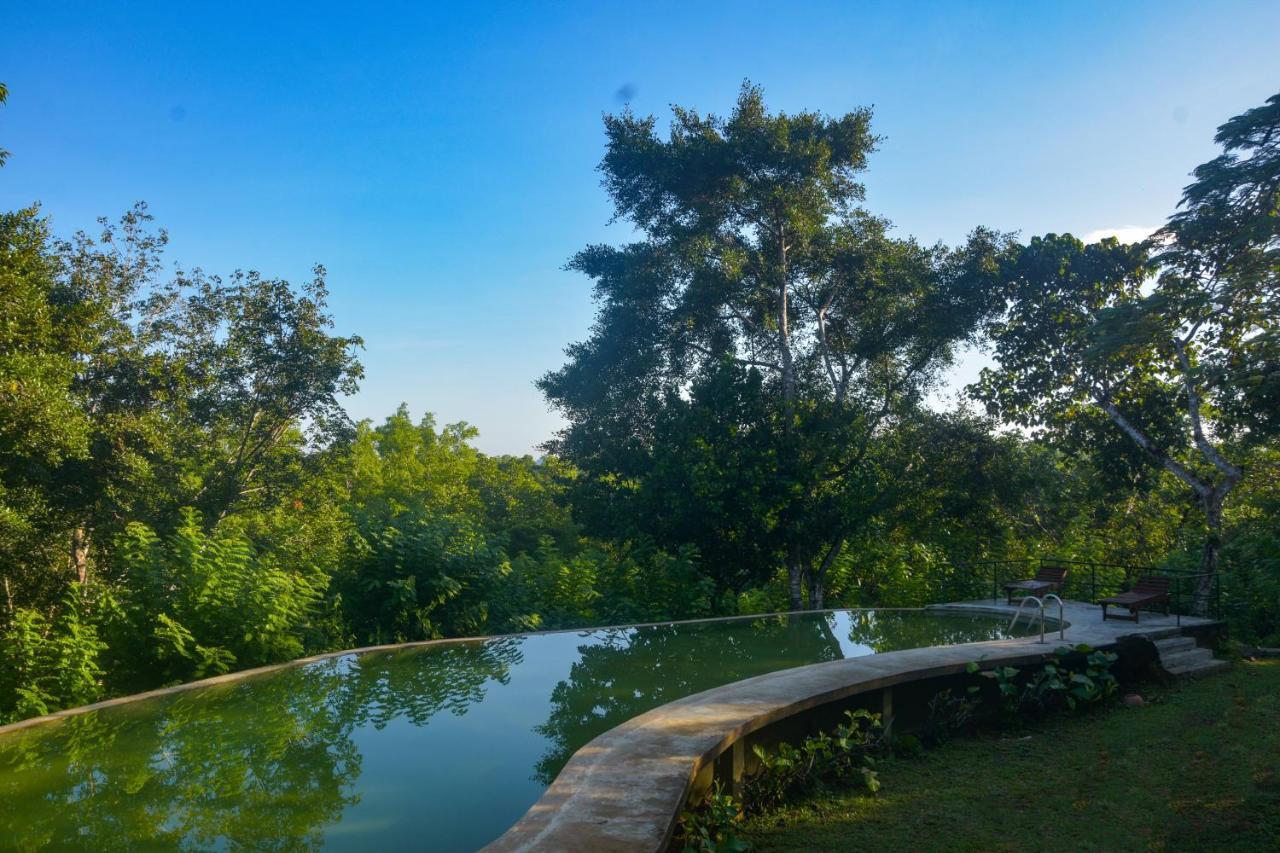 Mangrove Escapes Resort Bentota Extérieur photo